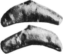 Monety-delfinchiki.jpg