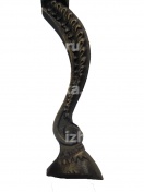 ����� �����