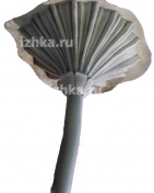 ���� �������