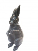 ���������� ������� "���� �������"