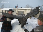 ���������� ������� "��� �������"