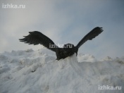 ���������� ������� "��� �������"