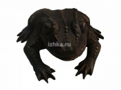 ���������� ������� "������� �������"